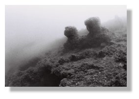 Repère du plongeur...