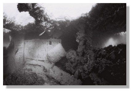 Espace ouvert vers la lumière