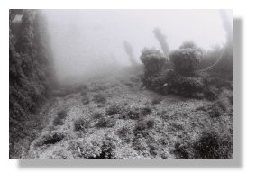 à la découverte paisible....