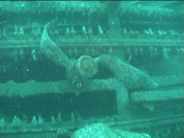 Sur une épave de la Manche