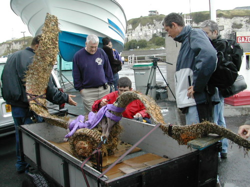 Origine de l'hélice... encore un peu de patience pour savoir !