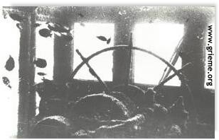 A la barre de l'Arroyo.... un équipage de poissons