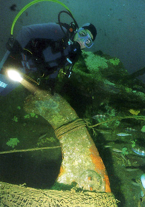 Plongeur dans la zone du secteur de barre