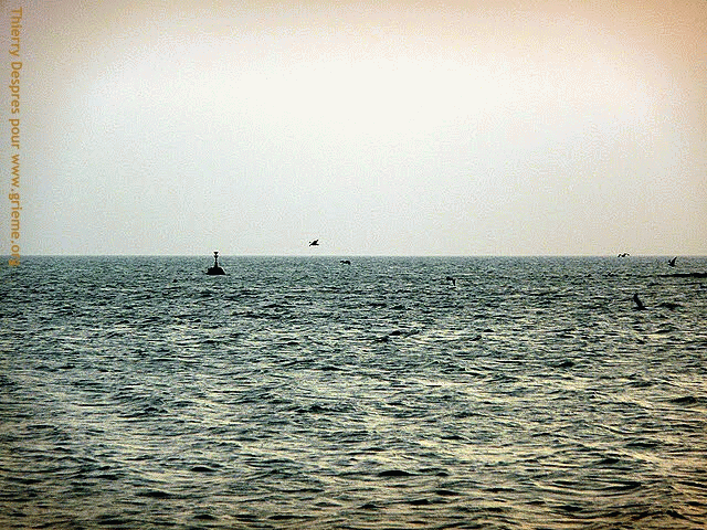 Les vestiges du Bruges