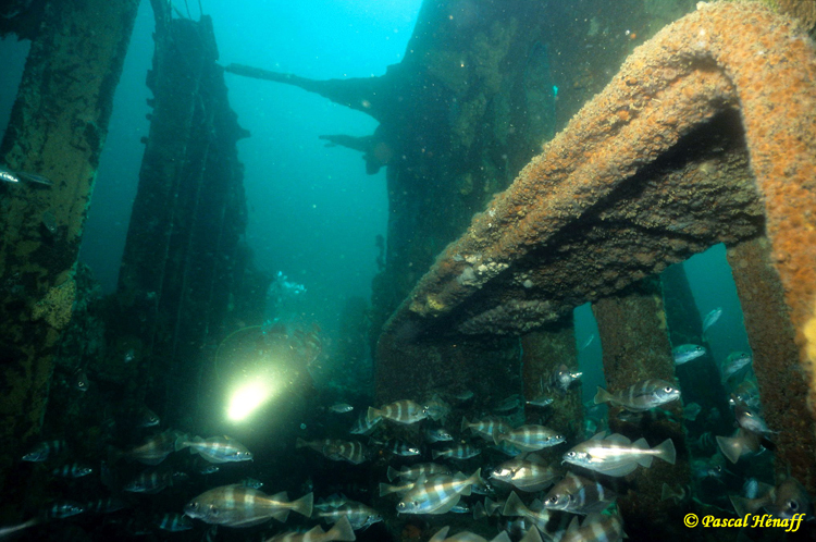 Coque côté tribord