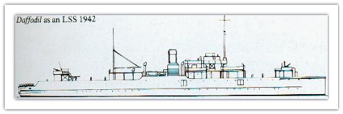 Croquis - Vue de profil du Daffodil