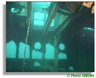 A l'intérieur du Daffodil... vision magique !