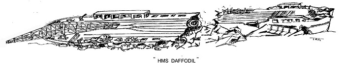 Le Daffodil vu par René TAMARELLE