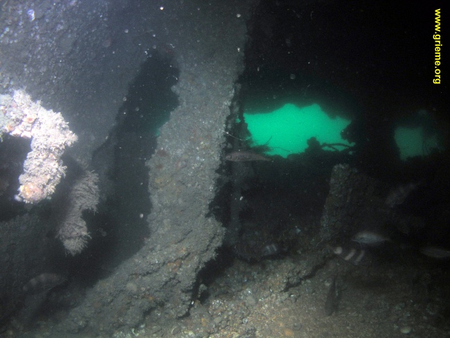 Intérieur de l'étrave