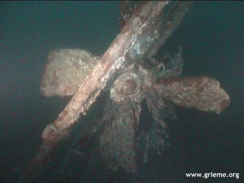 L'hélice, beaucoup plus simple à reconnaitre