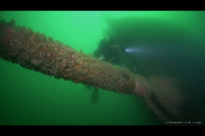 Le Falke par Jacques Le Lay