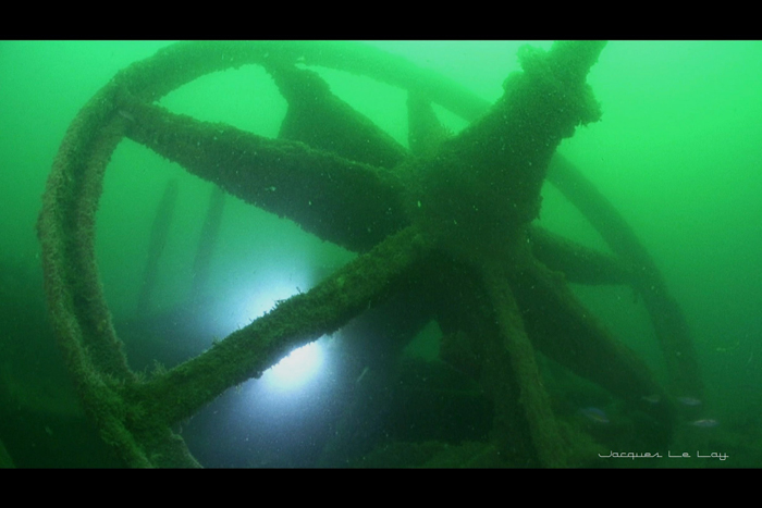 Le Falke par Jacques Le Lay