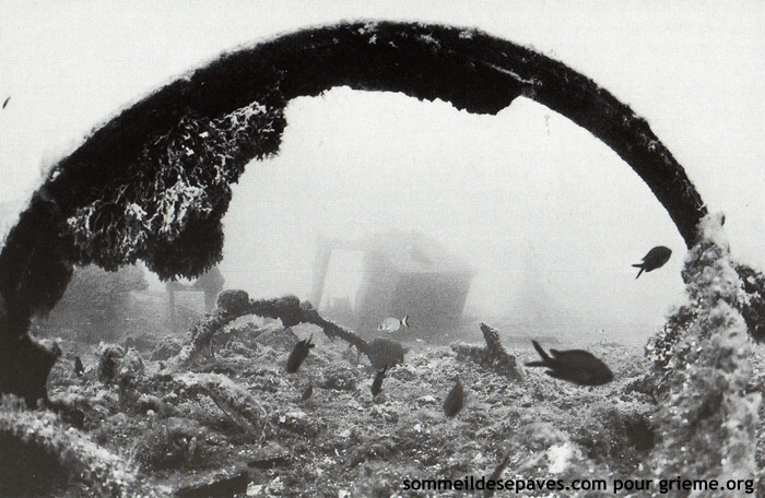 Cliché de Patrice Strazzera