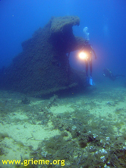 Un plongeur pose pour la pospérité du GRIEME