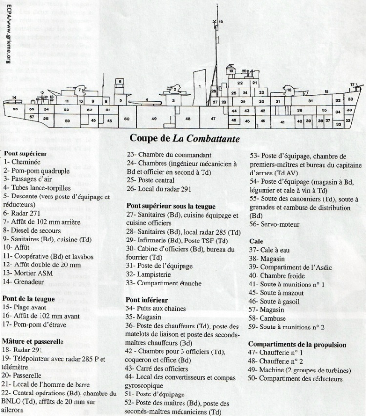 Détails de la Combattante