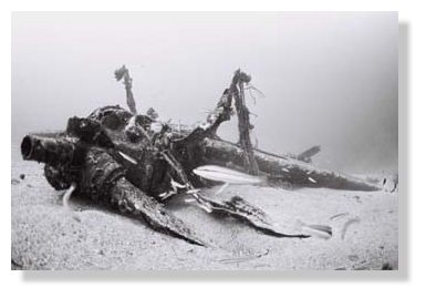 Le Messerschmitt vu par Patrice STRAZZERA