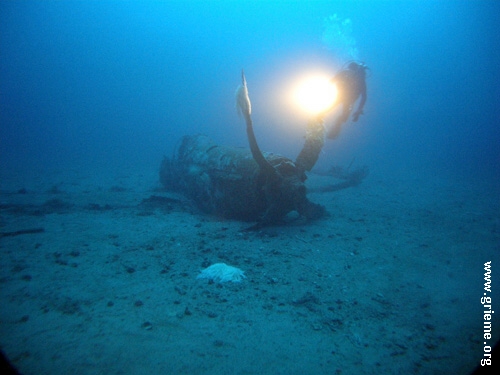Le Mustang vu par le GRIEME