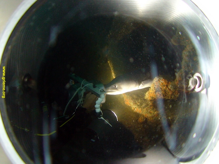 Le contact est établi