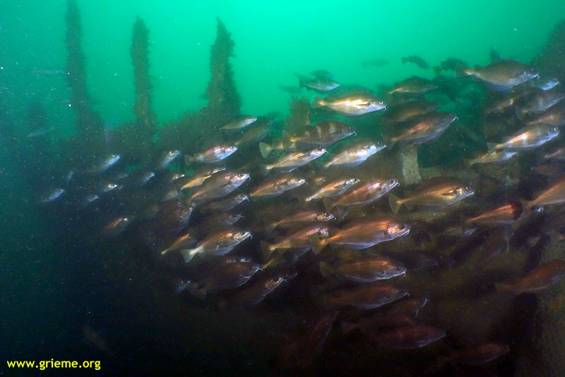 La chaudière et sa soupape