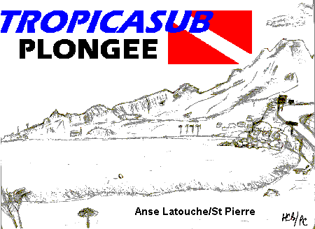 L'Anse Latouche croquée par le G.R.I.E.M.E.