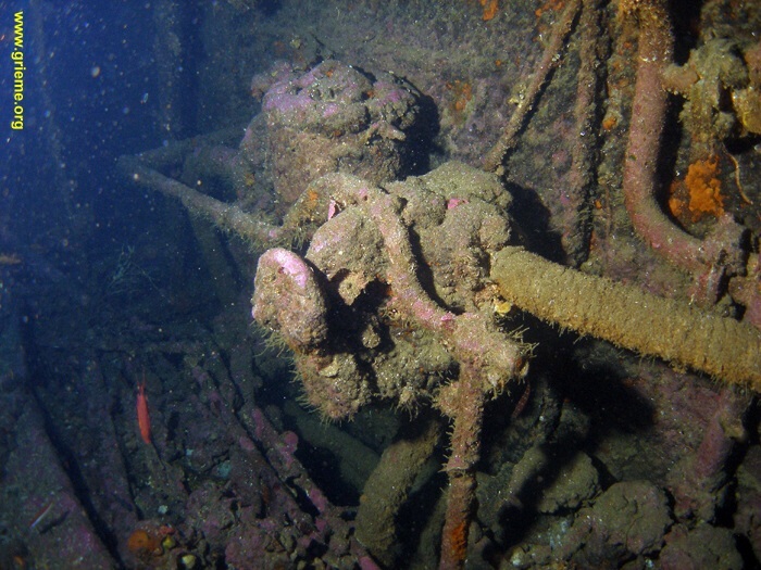 Vannes sur le Sagona