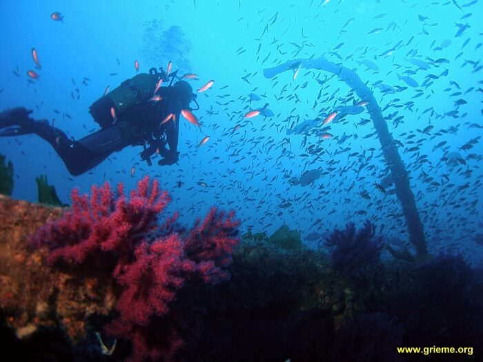 Au dessus des cales du Sagona