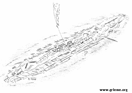 Le Salta vu lors de la descente du plongeur