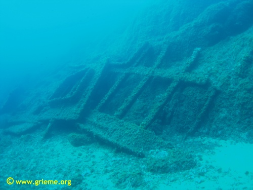 Posé sur la roche à quelques mètres de la surface