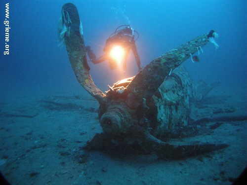 Le Mustang vu par le GRIEME