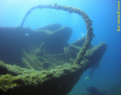 Bête à cornes... on comprend pourquoi !