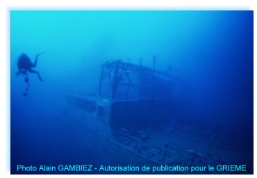 Rencontre entre le plongeur et ROSALIE MOLLER, émotion....