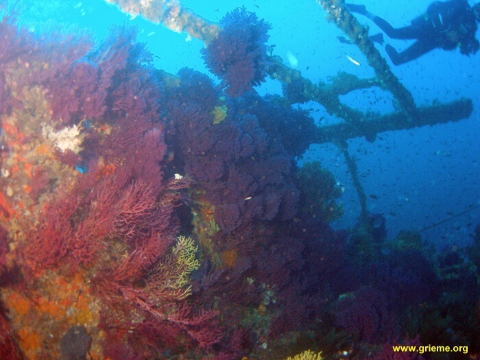 Explosion de couleurs sur le Sagoan